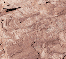 WALAPI+CHOCOLATE-dbfae6a0 - Rock Material Supplier | Sacramento CA Walapi Chocolate Stone